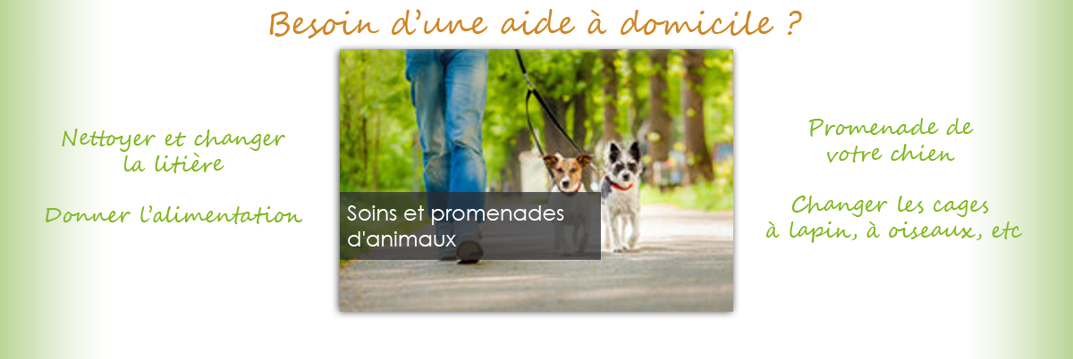 Promenade d'animaux